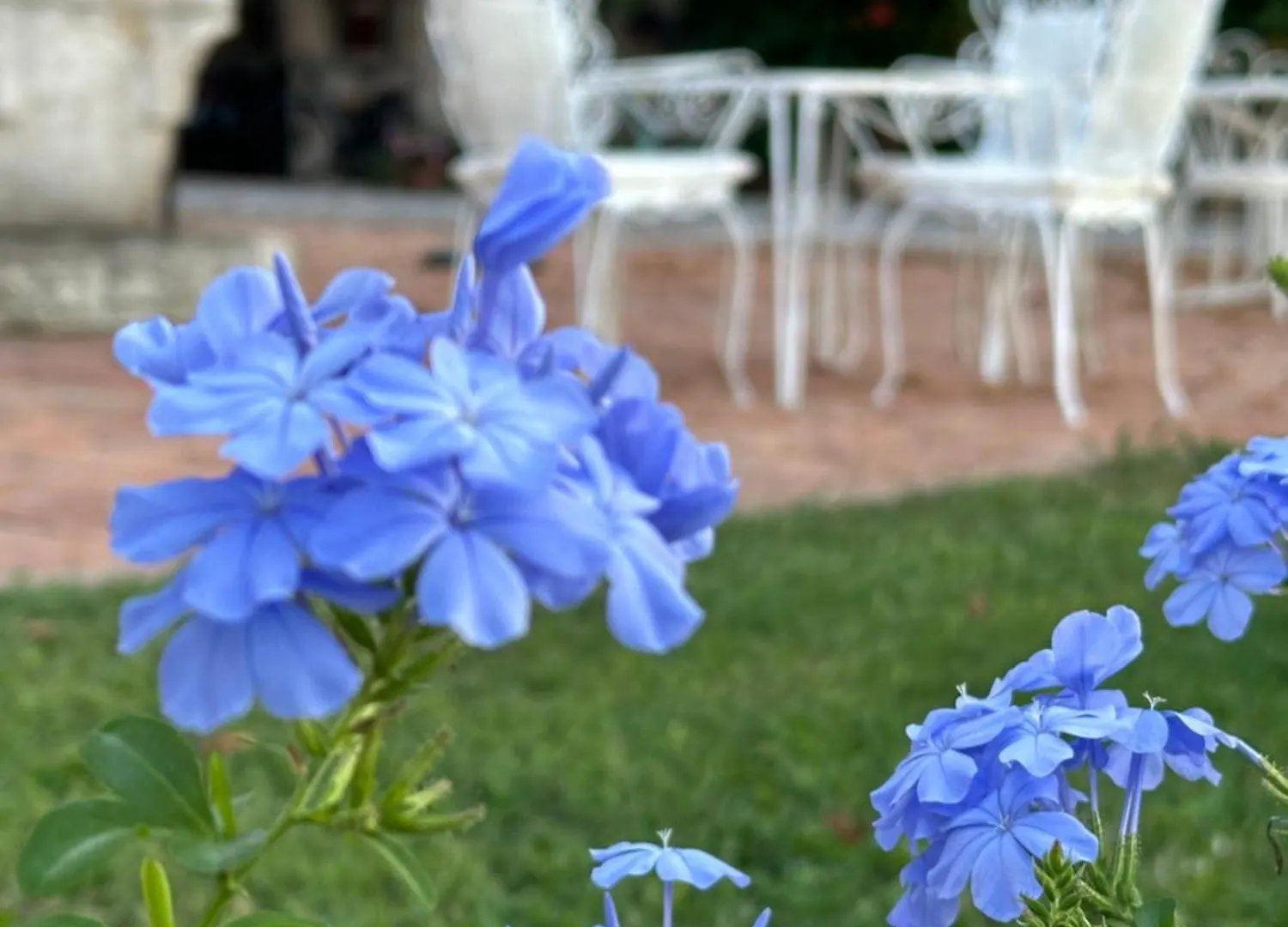 Bed & Breakfast Casaforte La Bastide Ferrara