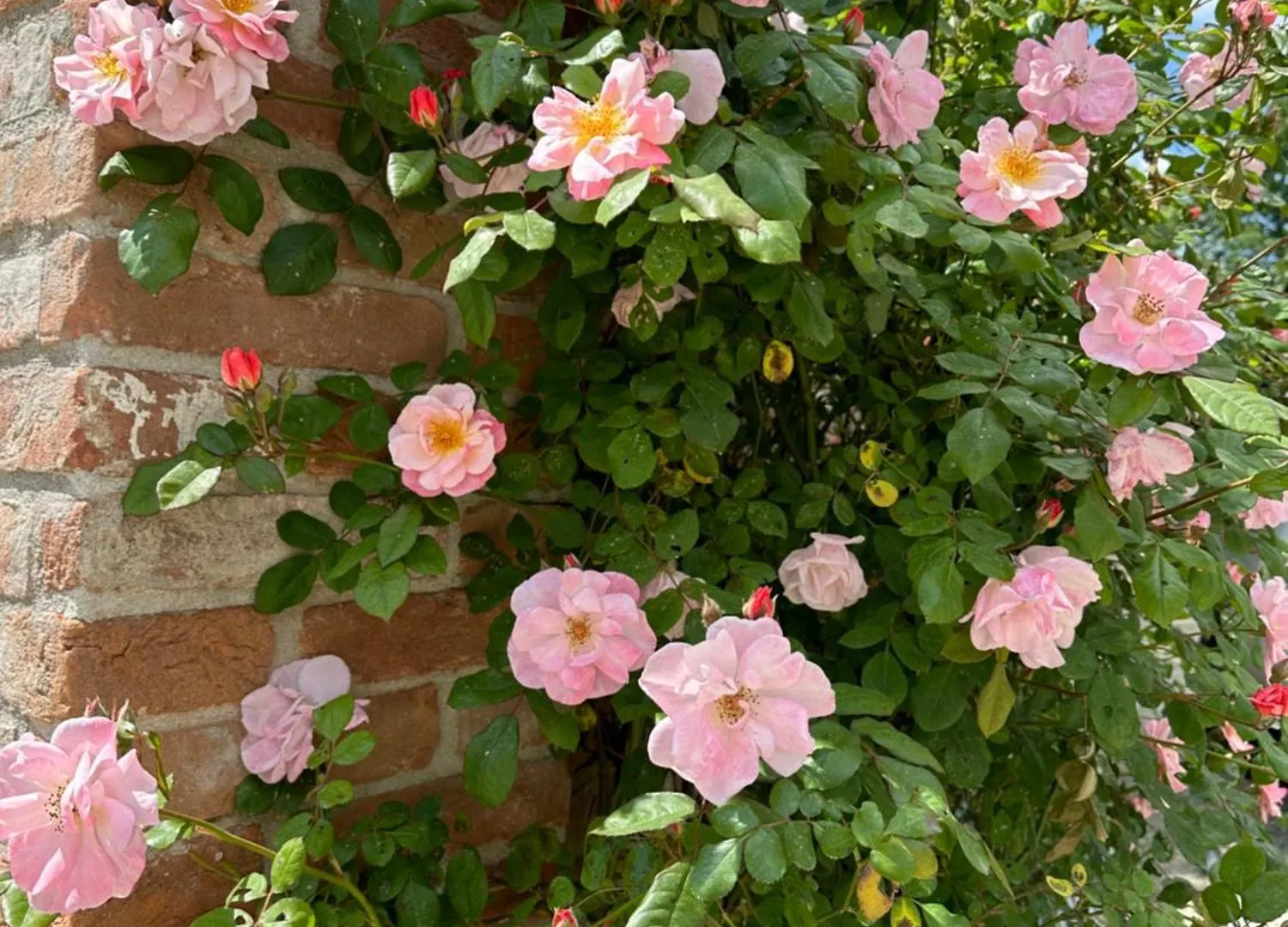 Bed & Breakfast Casaforte La Bastide Ferrara Itálie